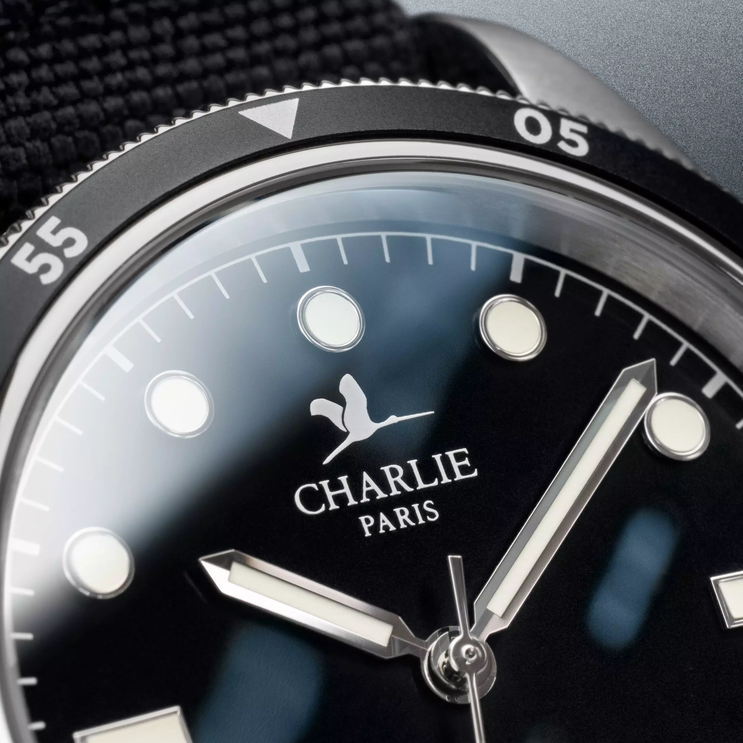 MICRO LUNES: El Charlie Paris Concordia Automatic ofrece un estilo vintage probado en ventiscas antárticas - Time and Tide Watches 12119_1