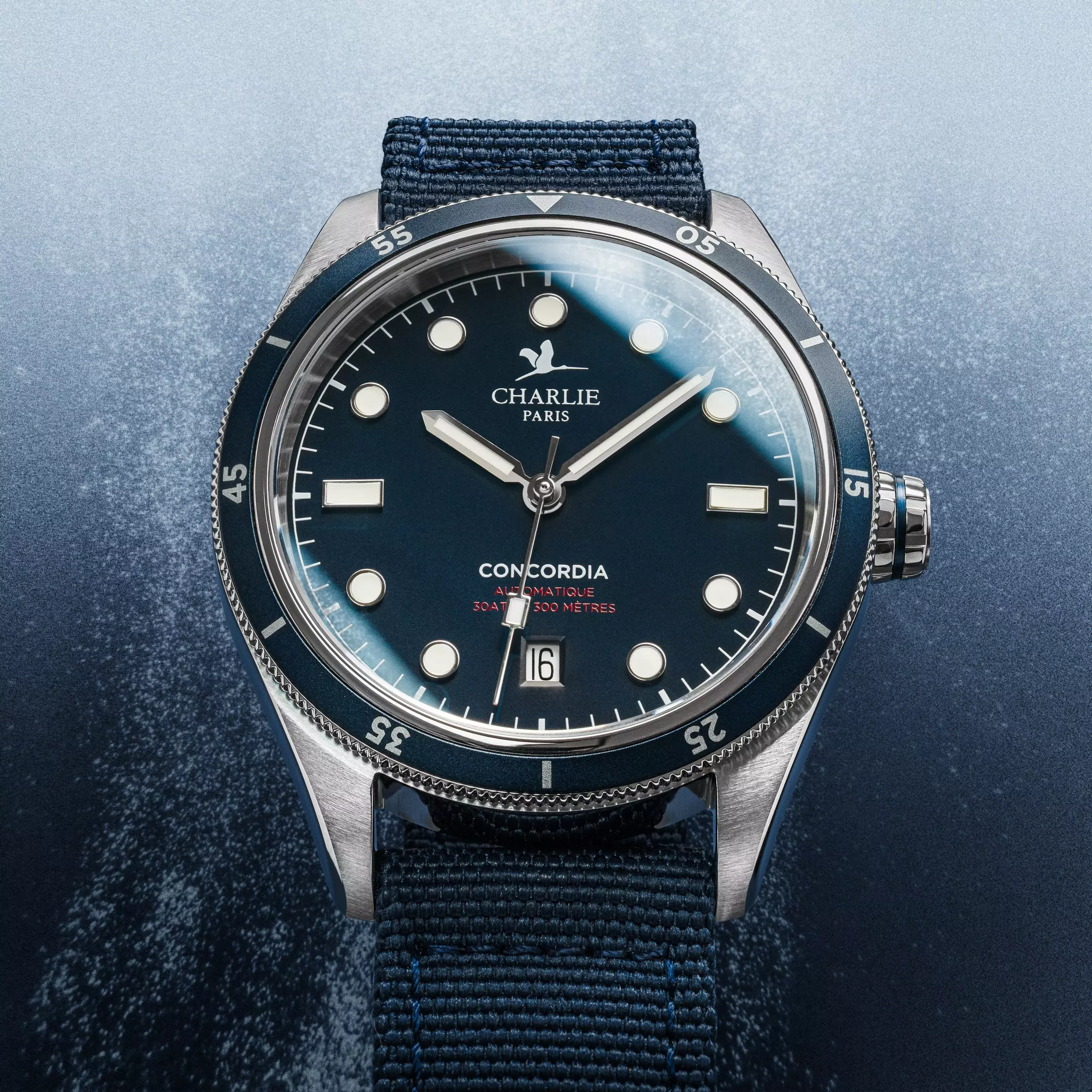 MICRO LUNES: El Charlie Paris Concordia Automatic ofrece un estilo vintage probado en ventiscas antárticas - Time and Tide Watches 12119_6